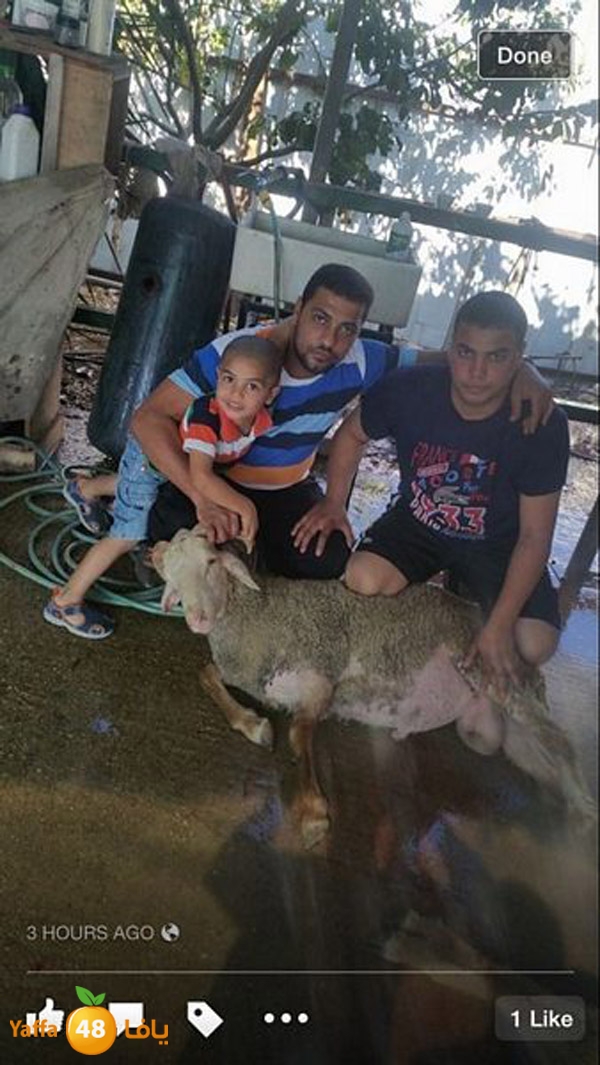 dabe7 ludj31 (62).jpg